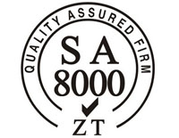樂山SA8000社會責任管理體系認證
